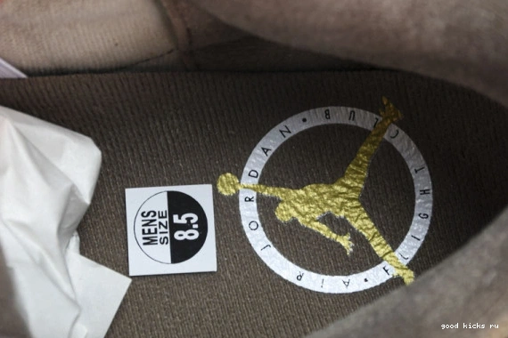 Retro Jordan  CT8532-102 CT8532-102 Palomino  3 0401